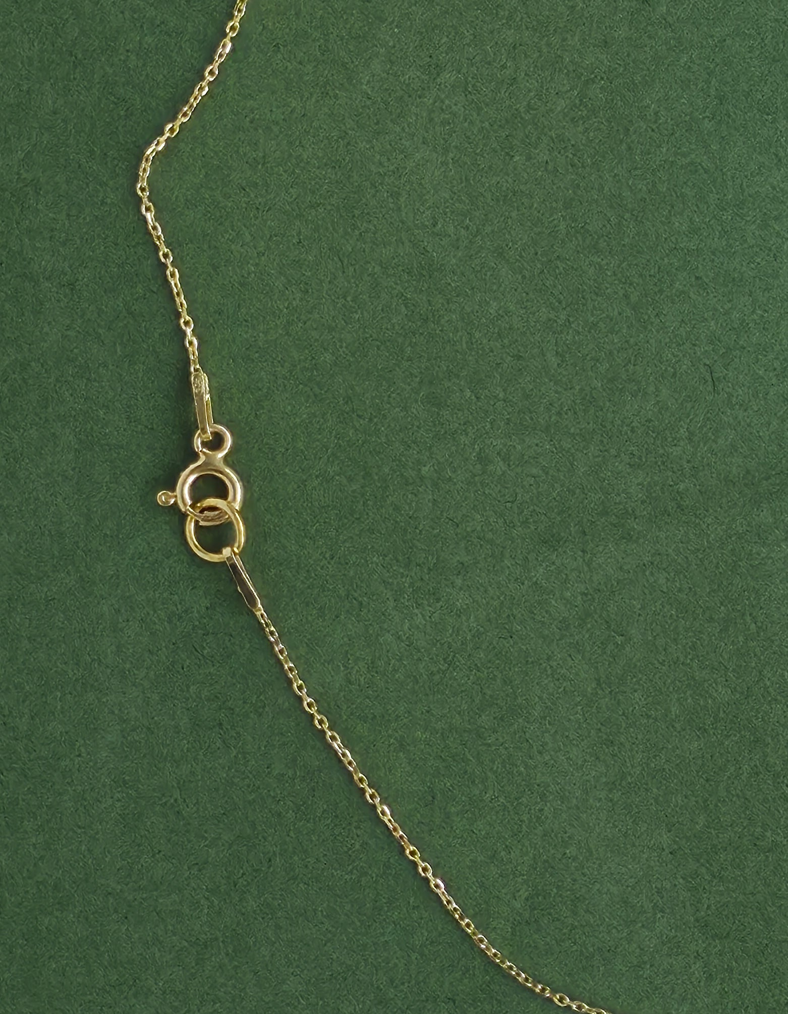 Gold necklace on a green background